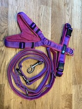 Annyx Geschirr S mit Leine Sonderfarbe beere/veilchen