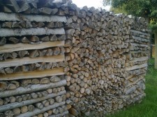 Brennholz Fichte gespalten auf 1m, trocken