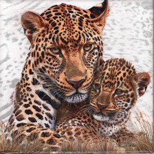 Dekobild Tiere Afrikas