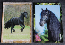 2 Postkarten Friese,Pferd,Pferde,Tier,Tiere,Pferdepostkarte,AK,Ansichtskarte,CZ