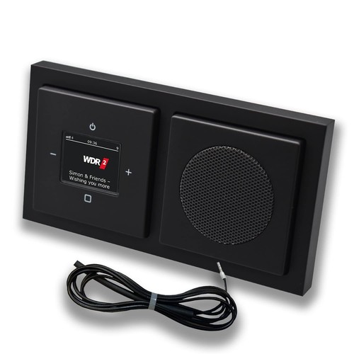 Busch jäger dab - dab, radio
