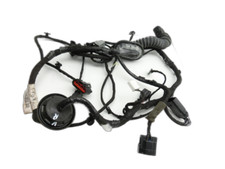 Kabelbaum für Tür und