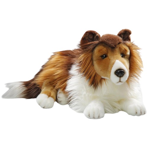 Carl dick collie liegend - collie,