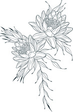 XXL 18X18 Car Decal Snake