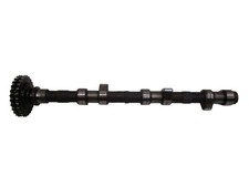 Nockenwelle AAA Auslass Magnet