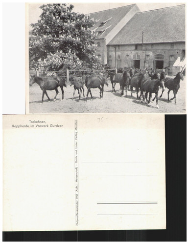 Ansichtskarte gurdzen vorwerk - gurdzen,
