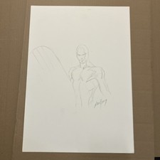 Silver Surver Original