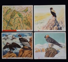 VOSS Margarine Kunstbilder