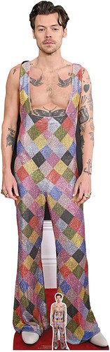 Harry styles dungarees - harry,