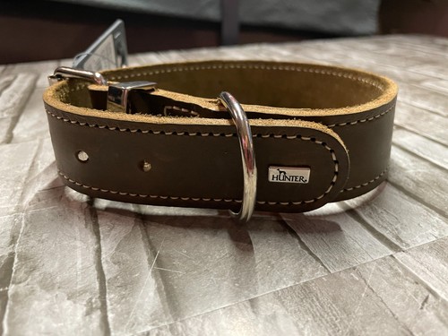 Hunter hundehalsband aalborg - hundehalsband,