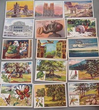 41 Wagner Margarine Sammelbilder-Konvolut aus versch. Alben 