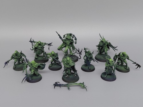 Rotmire creed warcry maggotkin - creed,