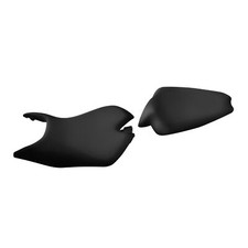 Motorcycle Rider & Passenger