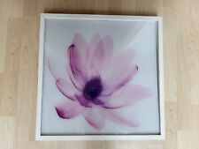 Bild Ikea quadratisch rosa Blume Nick Veasey 52 x 52 cm mit Rahmen