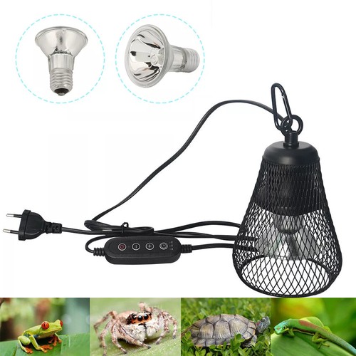 Schildkröte wärmelampe - schildkröte,