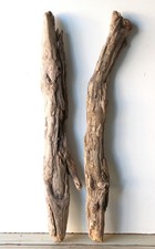 Treibholz Schwemmholz