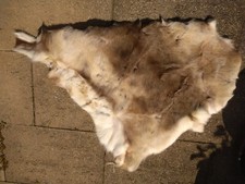 Larp Deko Rentier Fell