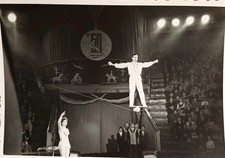 Zirkus Artisten Artistik