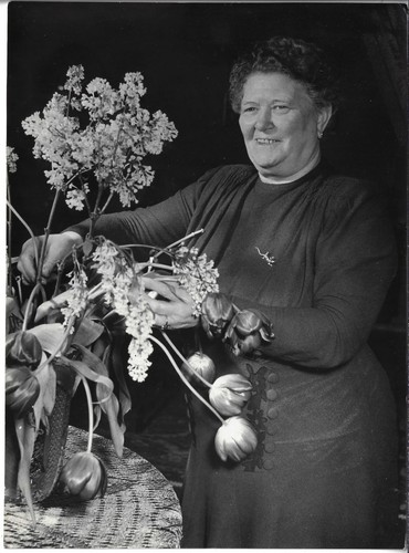 Rosa thälmann gattin - rosa, (gattin