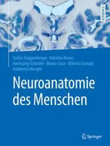 Neuroanatomie des menschen - menschen, |