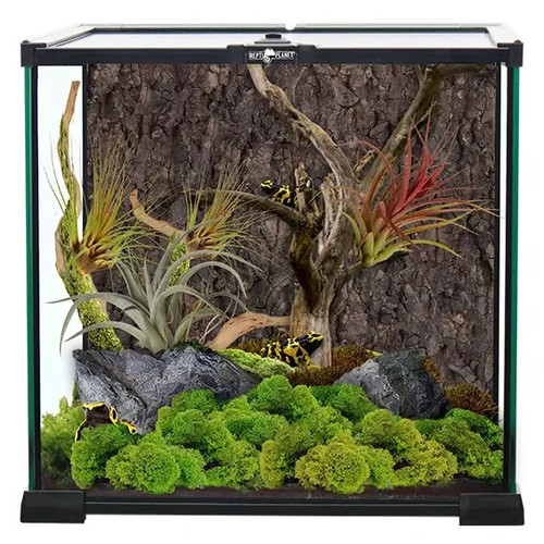 Repti planet glas - planet,