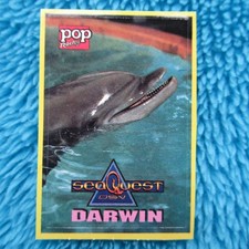 Sea quest darwin sticker - quest,
