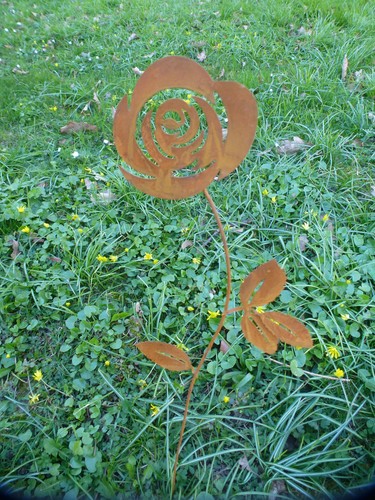 Langstielige rose aus edel - rose,