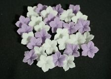 30 Zuckerblumen Blüten