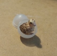 Schleich Straußen Kücken im