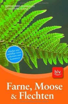 Farne moose flechten - moose,