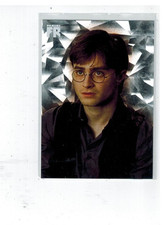 Panini Harry Potter Evolution
