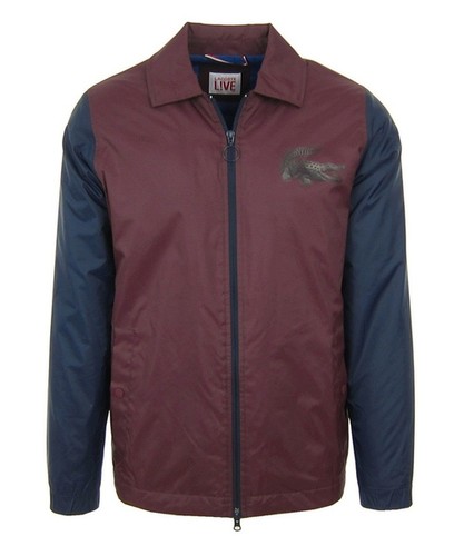 Lacoste herren men - lacoste, l!ve