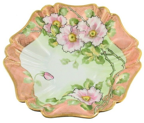 Seltene nippon morimura wild - nippon,