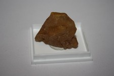 Kopal (Copal) San Diego Suarez