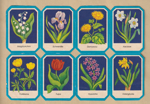 Ddr stammbuchbilder 3327 - ddr,