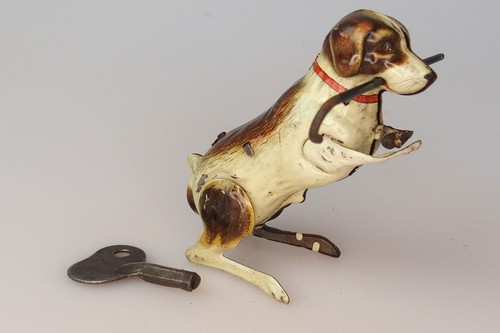 Gnk köhler hund - hund, stock