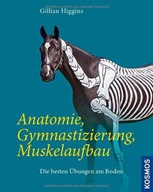 Anatomie gymnastizierung - anatomie,,