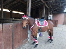 Spanischen Sattel Reitsattel