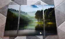 Eurographics Glasbild Decoglass 3 tlg. 30x80+60x80+30x80 cm Wald Regenwald See