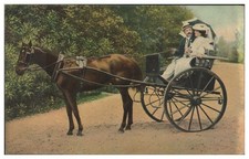 XX2541/ Kutsche Einspänner Pferd AK ca.1910