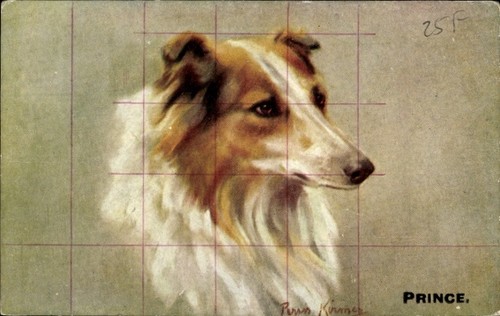 Künstler collie hund - collie,,