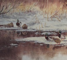 Stockenten im Winter 42 x 37