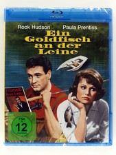 Ein Goldfisch an der Leine -
