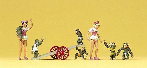 Circus chimpanzee act - chimpanzee, (7)