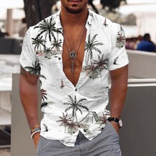 Herren hawaii hemd - herren-hawaii-hemd, sommer