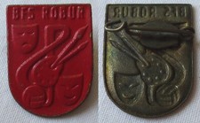 DDR Abzeichen Ehrennadel