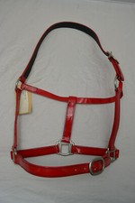 Halfter aus Biothane rot mit Edelstahl Beschlägen Größe Full