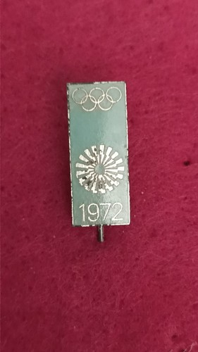 Offizieller besucher pin - -,