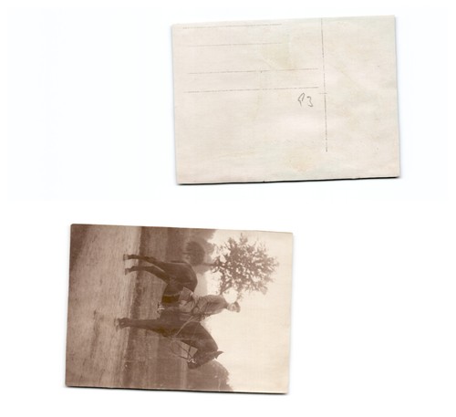 Flandern - (b98268a93),