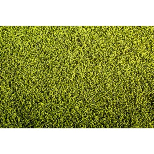 Alfalfa pflanzen als matte - alfalfa,